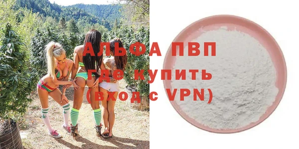 гашик Россошь