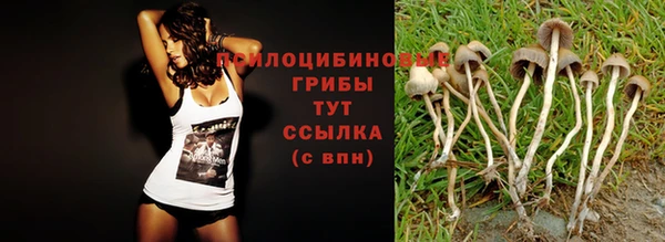 марки nbome Алексеевка