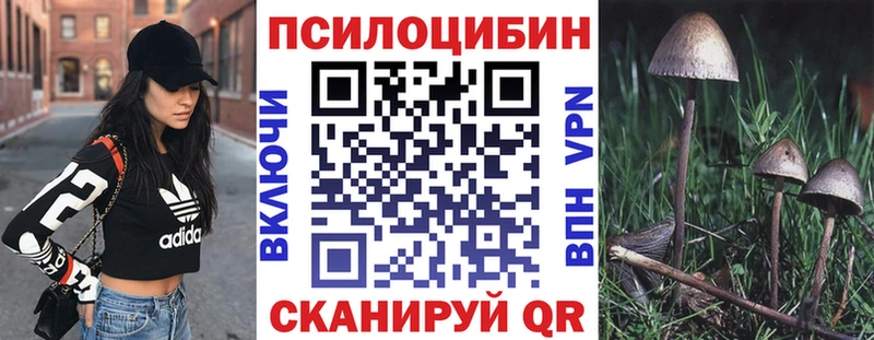 Галлюциногенные грибы Psilocybine cubensis  Анапа 